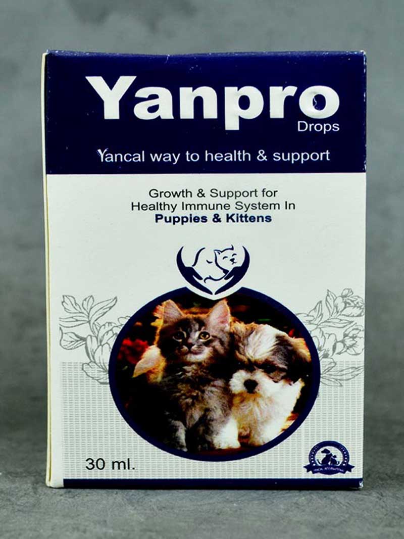 Buy Yancal Yanpro Drops at a low price in online India on petindiaonline