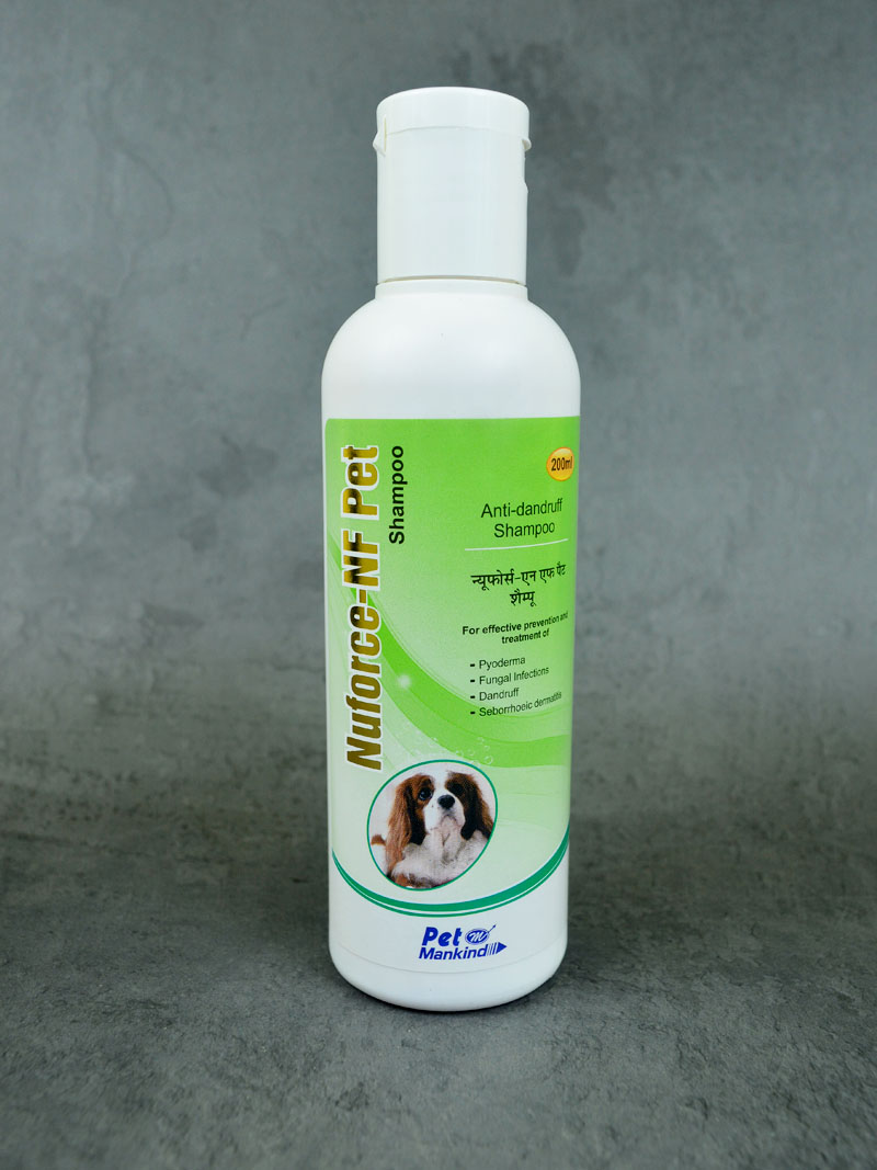 Buy Nuforce NF Pet at a low price in online India on petindiaonline