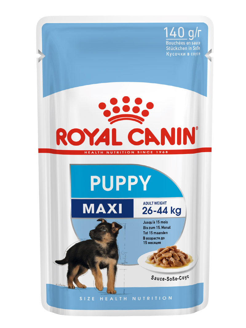 Buy Royal Canin Maxi Puppy Wet Dog Food at a low price in online India on petindiaonline