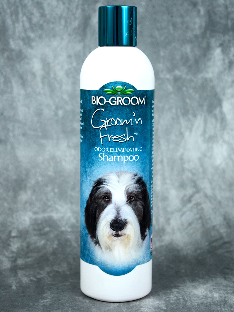 Buy Bio-Groom Odor Eliminating Shampoo at a low price in online India on petindiaonline