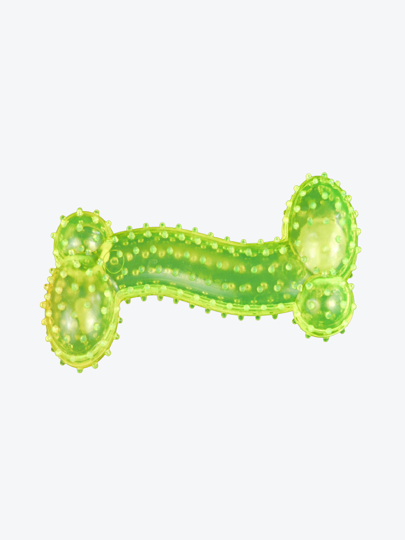Buy TPR Transparent Bone Toy For Dogs at a low price in online India on petindiaonline