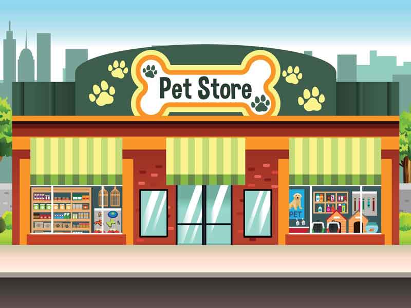 The Ultimate Pet Shop in Kolkata for all Animal Lovers