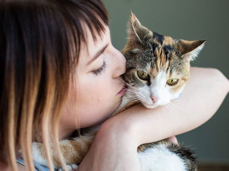 Guides and Tips for Cat Parents