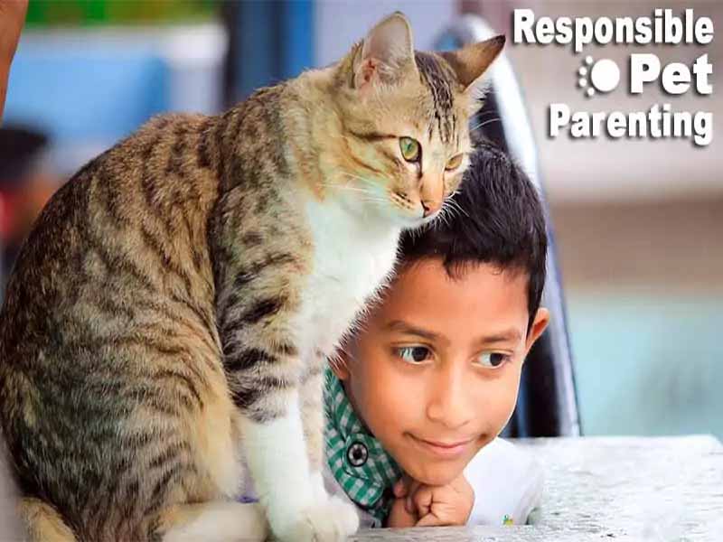 Tips for Responsible Pet Parenting