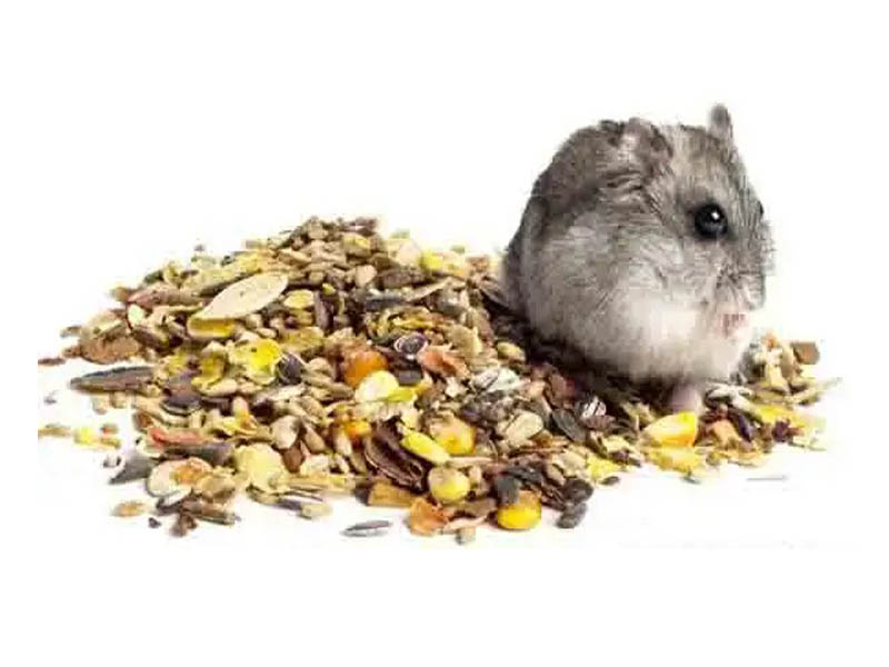 Hamster Food