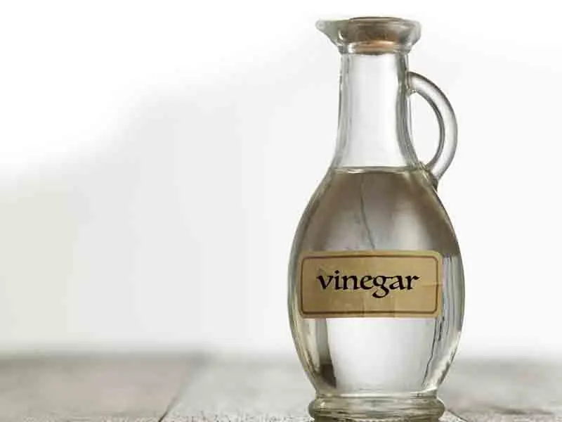 Can Vinegar kill Bird mites?