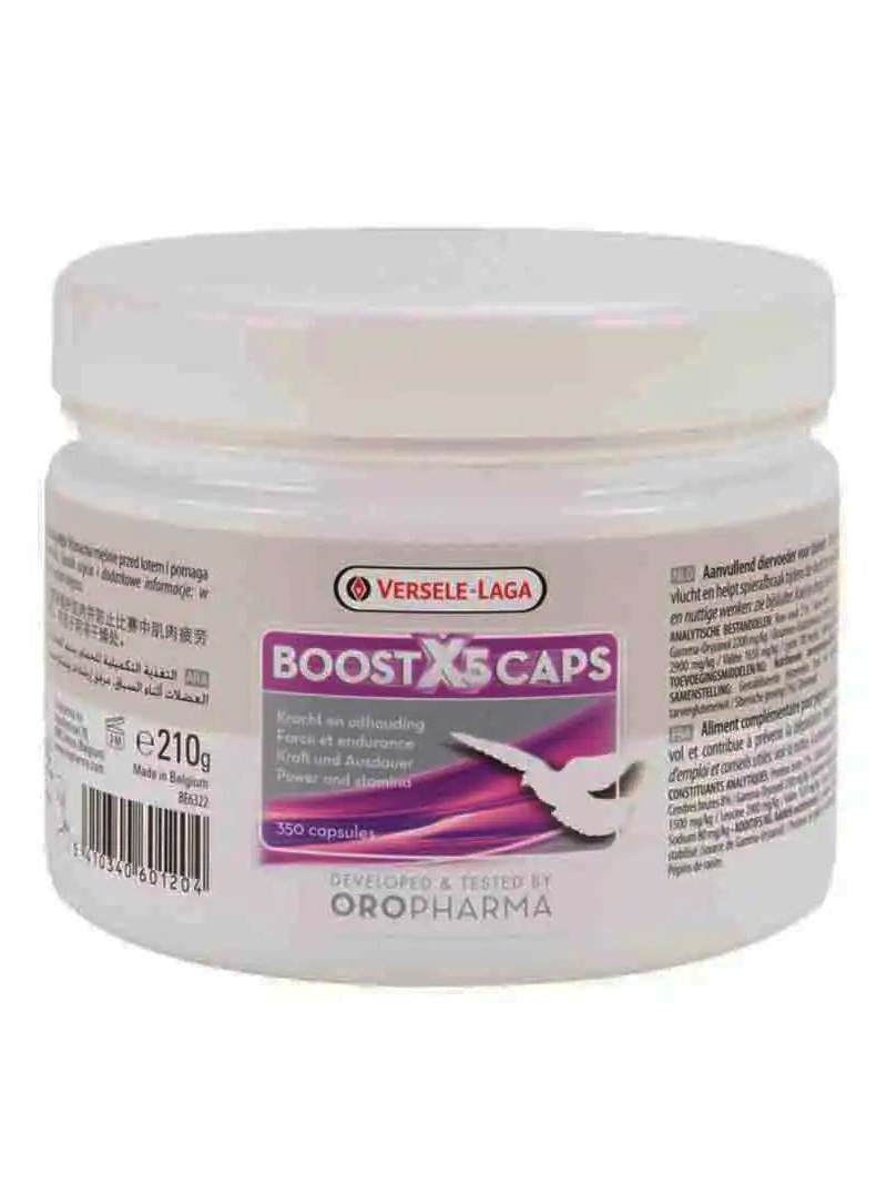 Doméstico por inadvertencia invierno Buy Boost X5 Caps at a low price in online India on petindiaonline